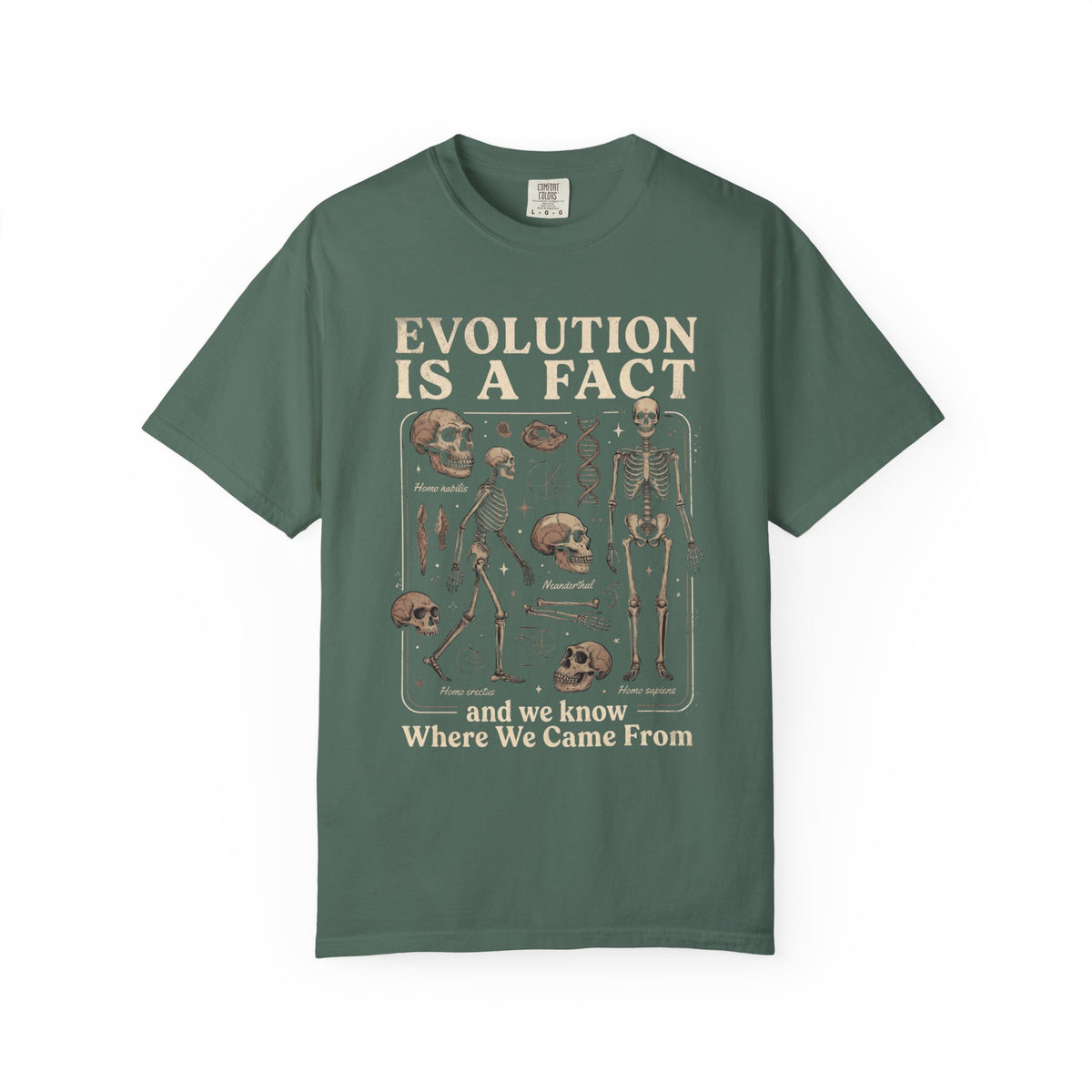 Comfort Colors Evolution Is a Fact T-Shirt, Human Evolution Skeleton Graphic Tee, Science Biology Anatomy Shirt, Biology Teacher Gift