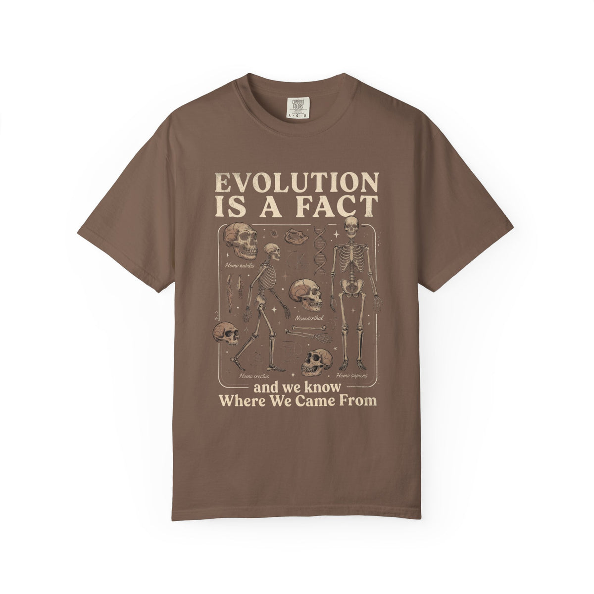 Comfort Colors Evolution Is a Fact T-Shirt, Human Evolution Skeleton Graphic Tee, Science Biology Anatomy Shirt, Biology Teacher Gift