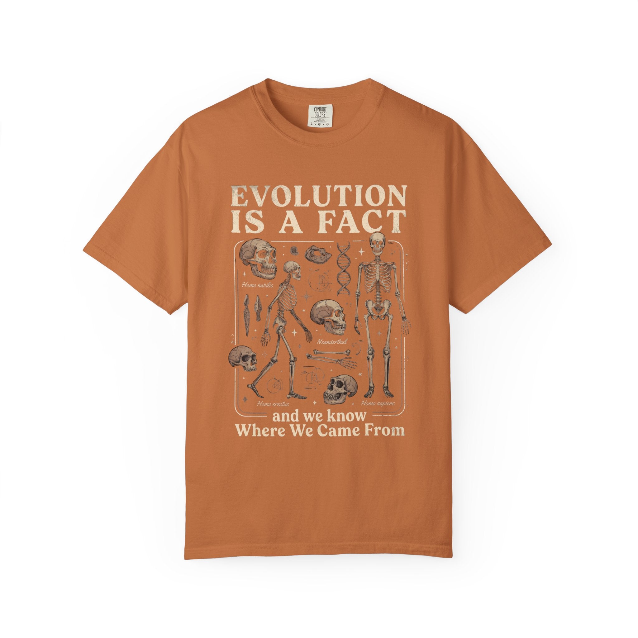 Comfort Colors Evolution Is a Fact T-Shirt, Human Evolution Skeleton Graphic Tee, Science Biology Anatomy Shirt, Biology Teacher Gift